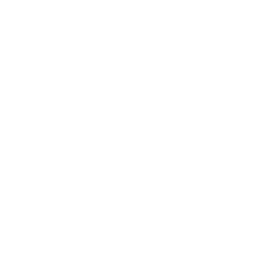 WILD BIKE – ul. Dąbrowskiego 60, 93-208 Łódź